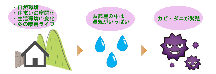 湿害の起こり方